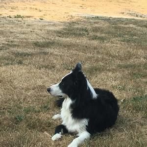 Meet your Posher, Shari